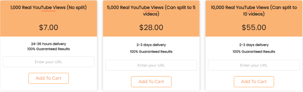 Real Youtube Views packages on BuyViewsLikes