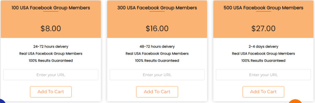USA Facebook Members packages on BuyViewsLikes